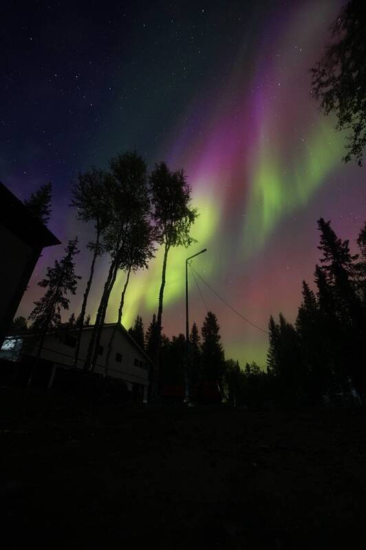 северное сияние, ночь, звезды, деревья Буйство красок фото превью