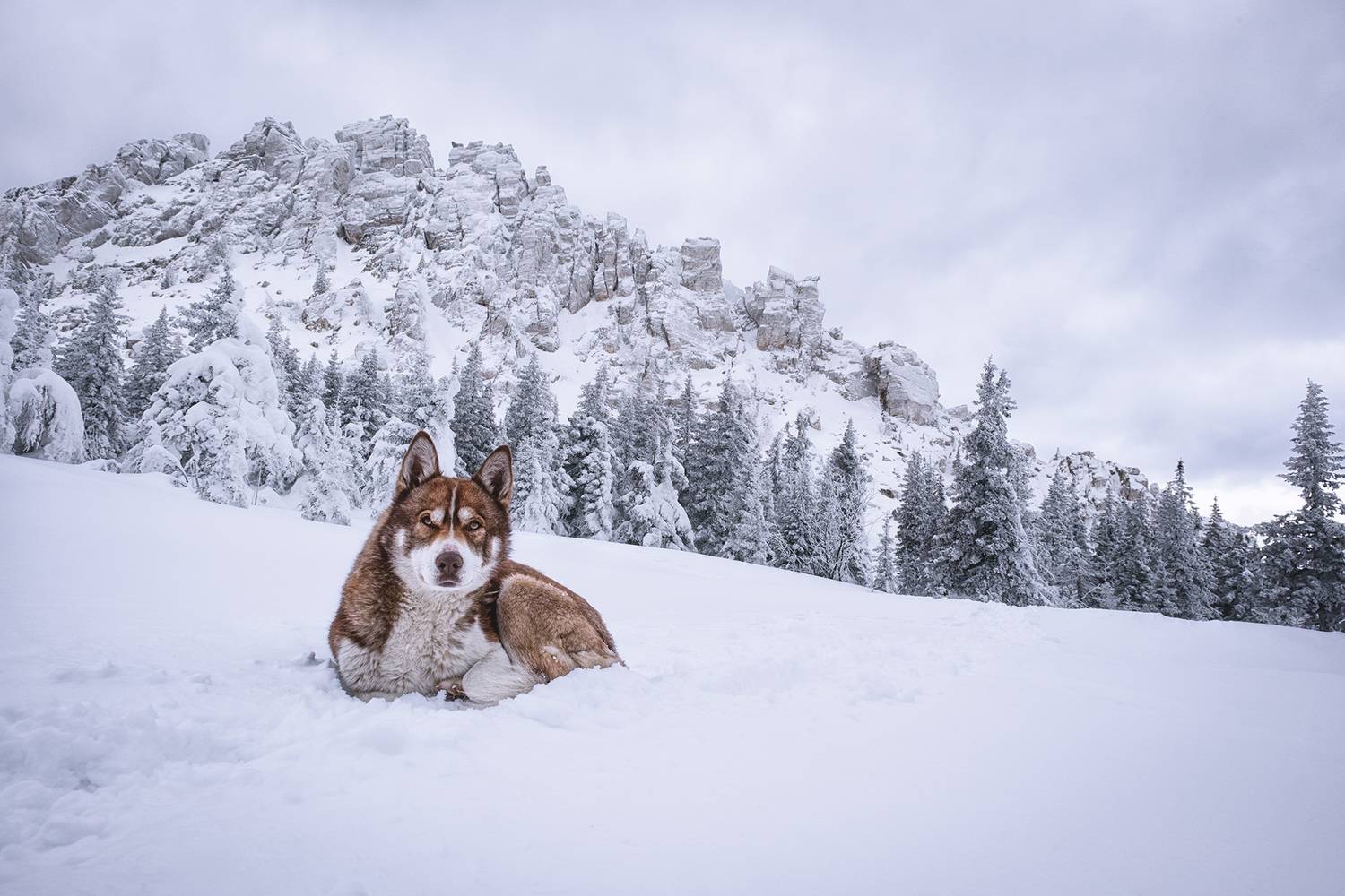 , Бодрягин Виталий