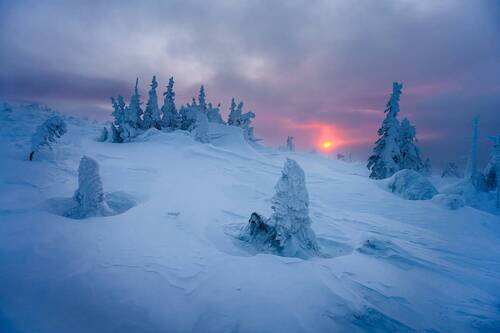 Пробуждение