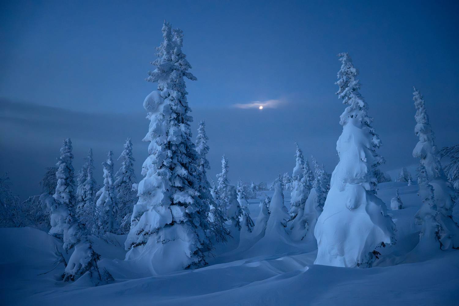 главный уральский хребет, гух, сосьвинский камень, казанский камень, север, урал, снег, куржак, луна, Уфимцев Юрий