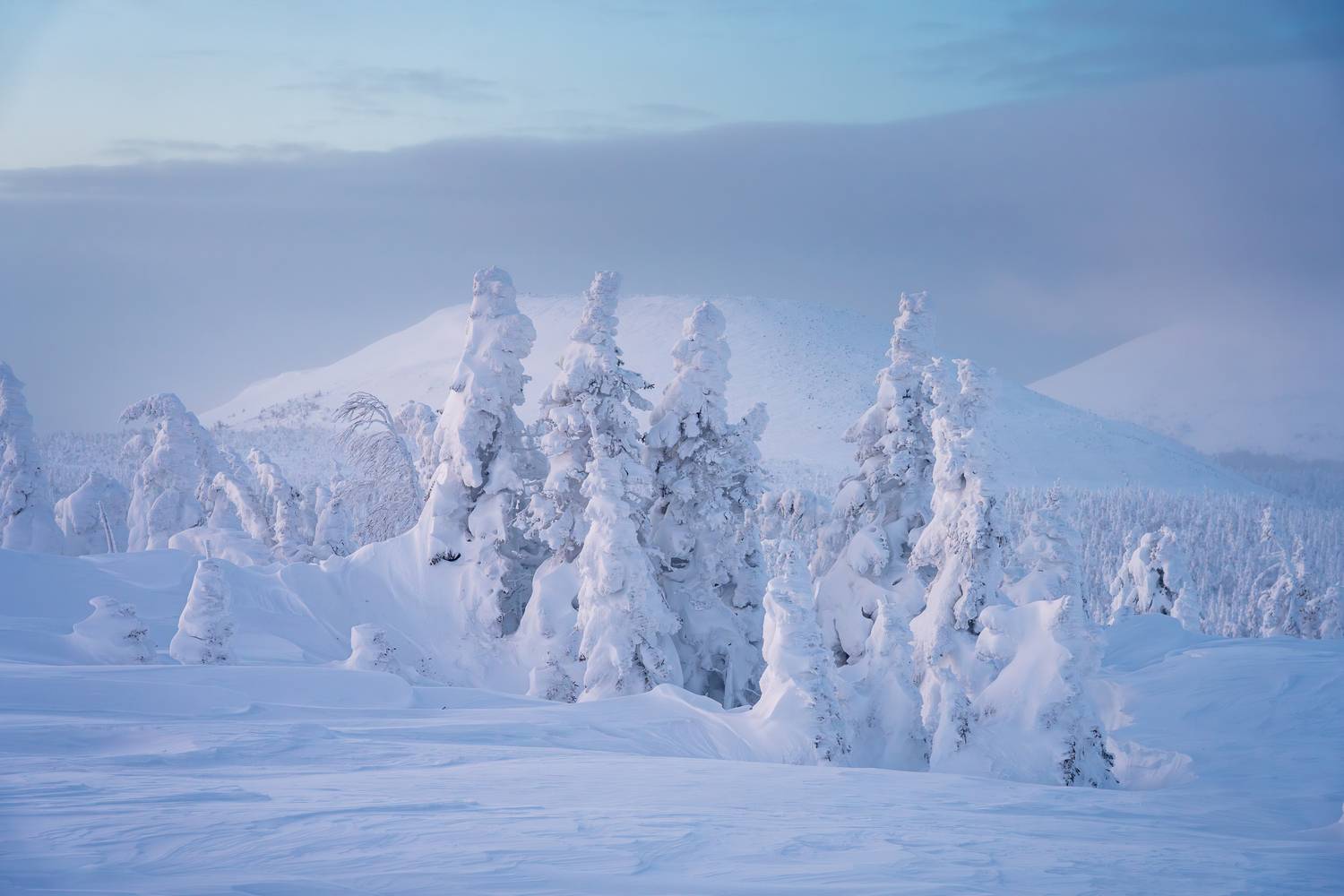 главный уральский хребет, гух, сосьвинский камень, казанский камень, север, урал, снег, куржак, Уфимцев Юрий