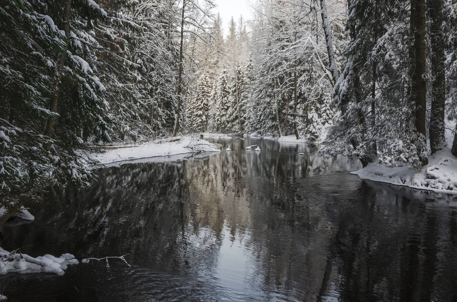 , Алексей Алешин
