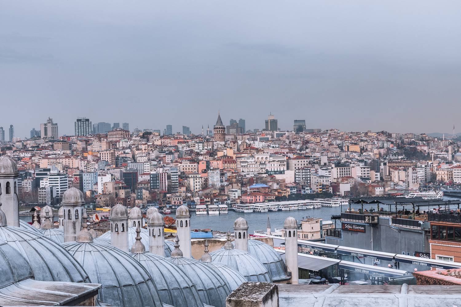 , Трепольский Дмитрий