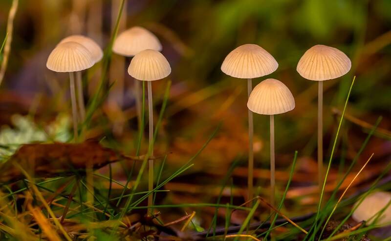 .... фото превью