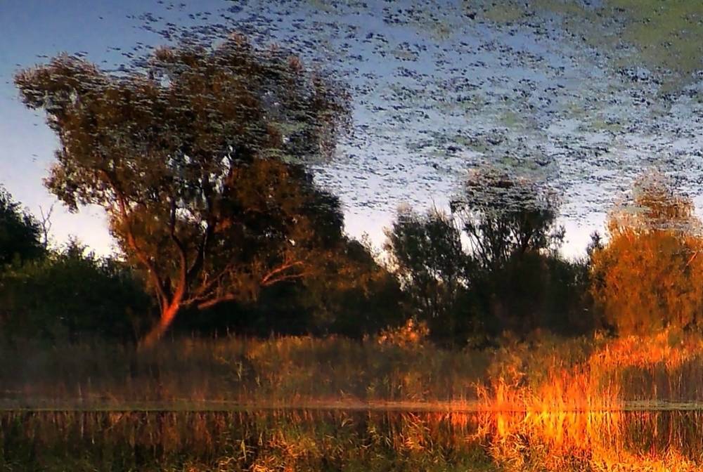 , Савоцкий Роман