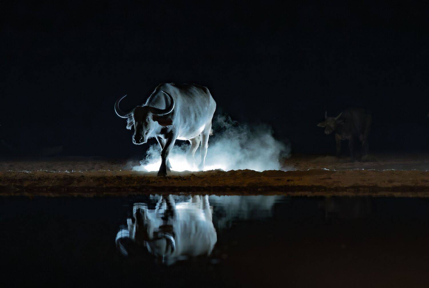 Кения, Сулоев Алексей