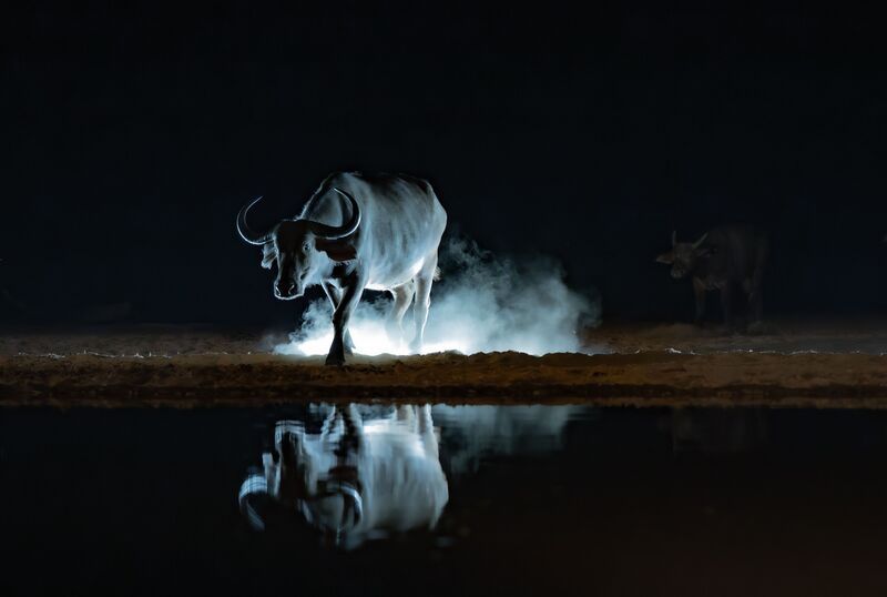 Кения  фото превью