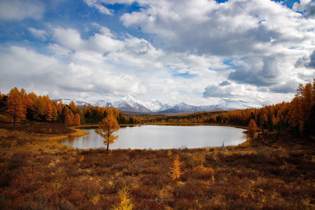 , Станислав Аристов
