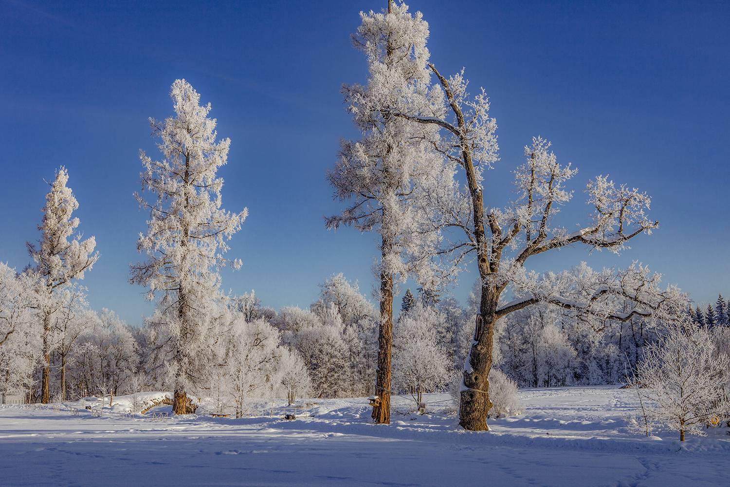 , Aleksandr Mihailov
