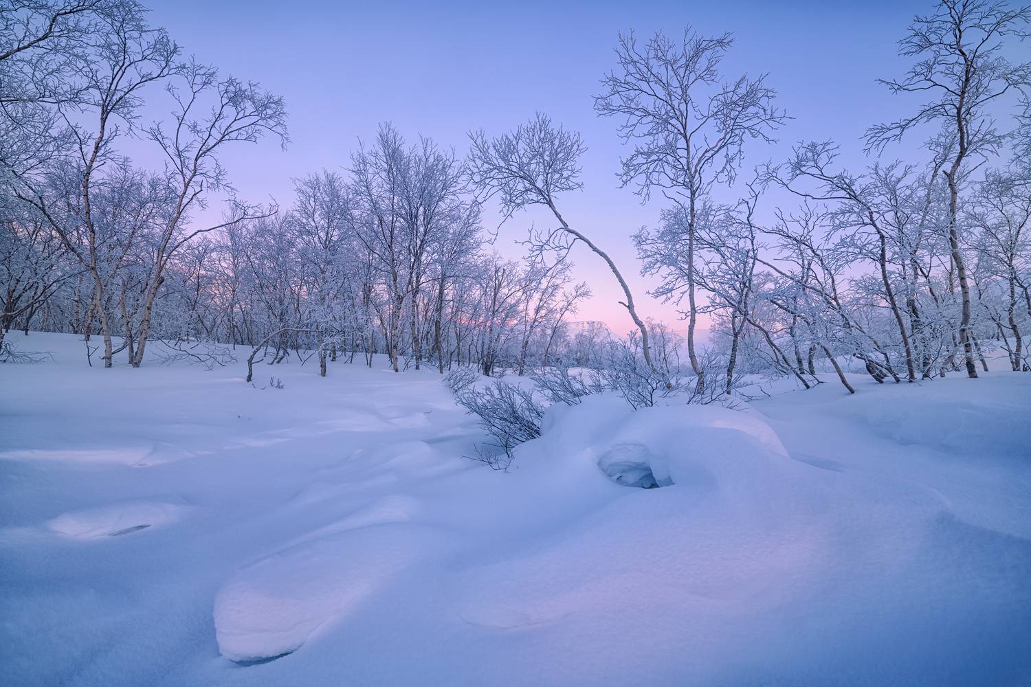 , Евдокимов Максим