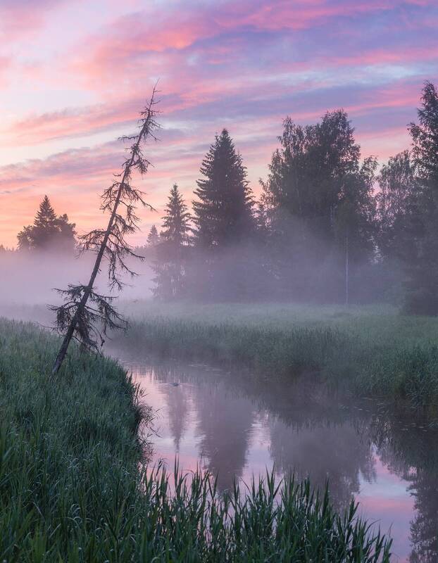 Утро на реке фото превью
