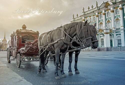 Strolls around St. Petersburg