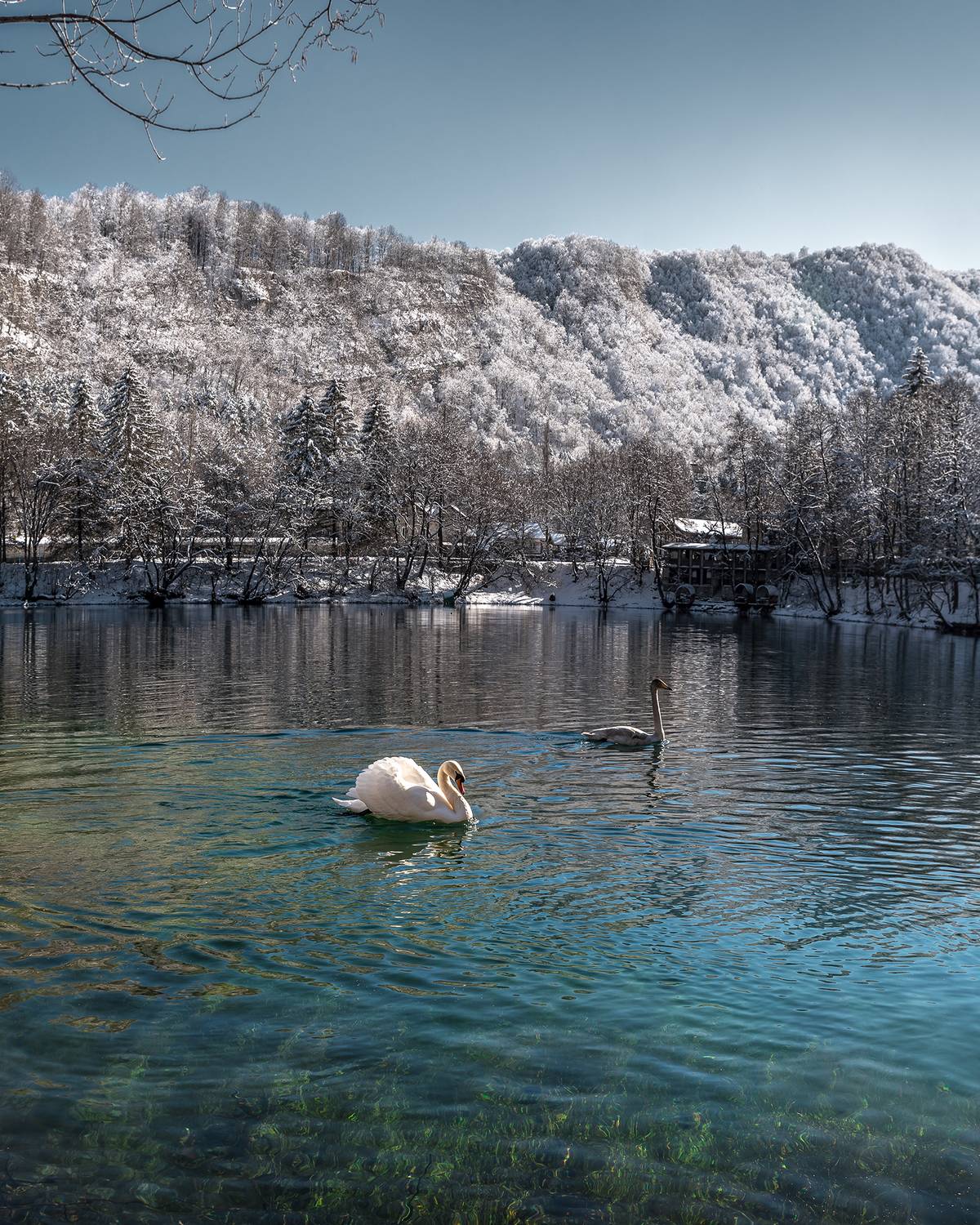 кавказ, кабардино-балкария, кбр, голубые озера, горное озеро, лебеди, зима в горах, Zakharov Armen