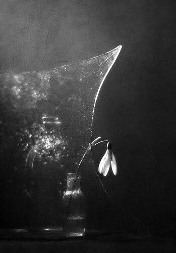 Предчувствие зимы