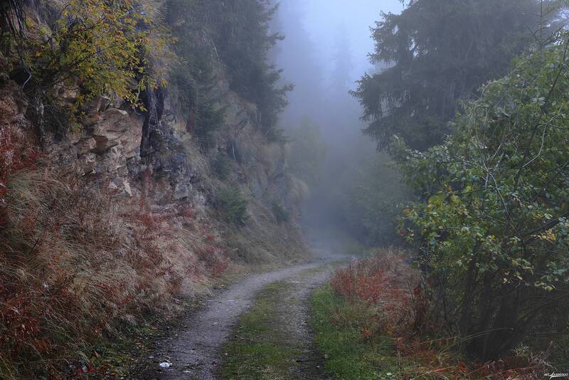 swiss Утро в дороге... фото превью