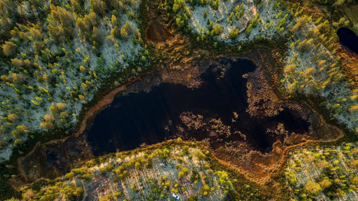 тундра, полет, оезеро, осень, надым, янао, OLEG STOROZHEV