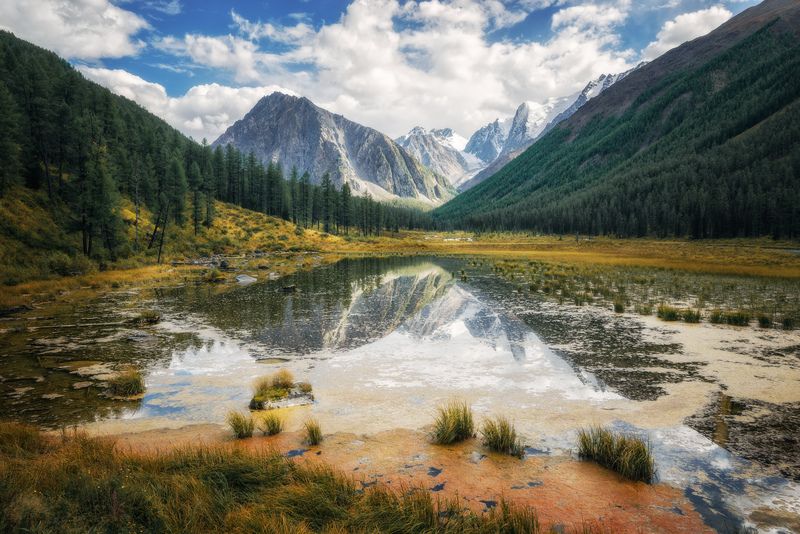 *** фото превью