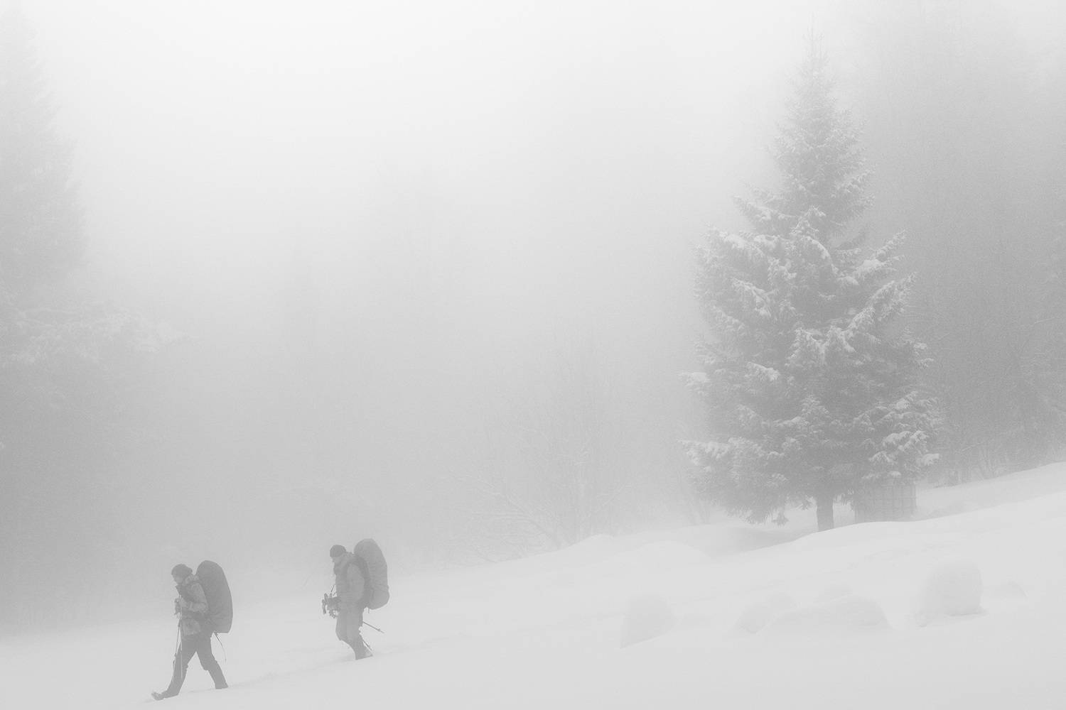 , Бодрягин Виталий