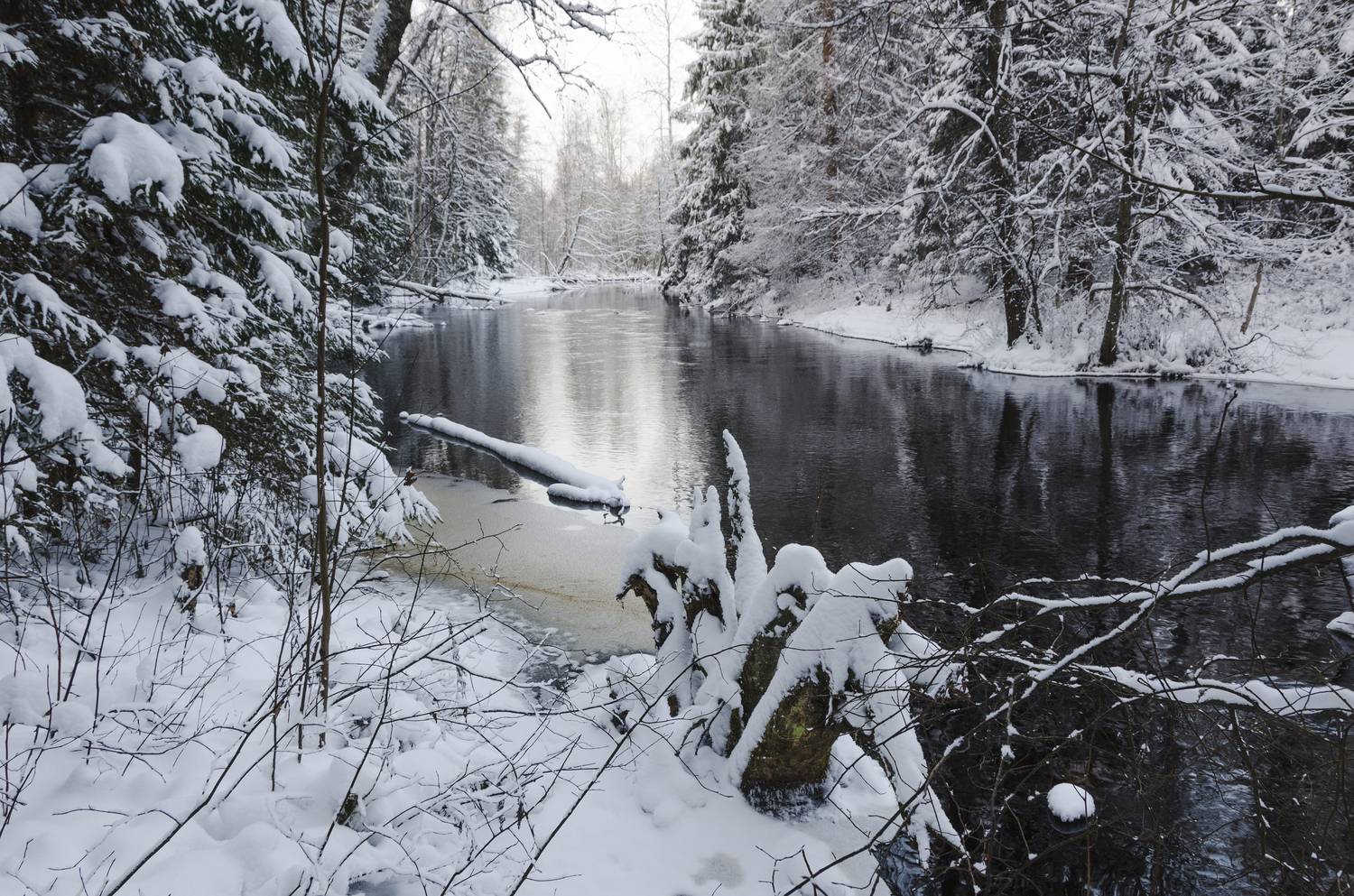 , Алексей Алешин