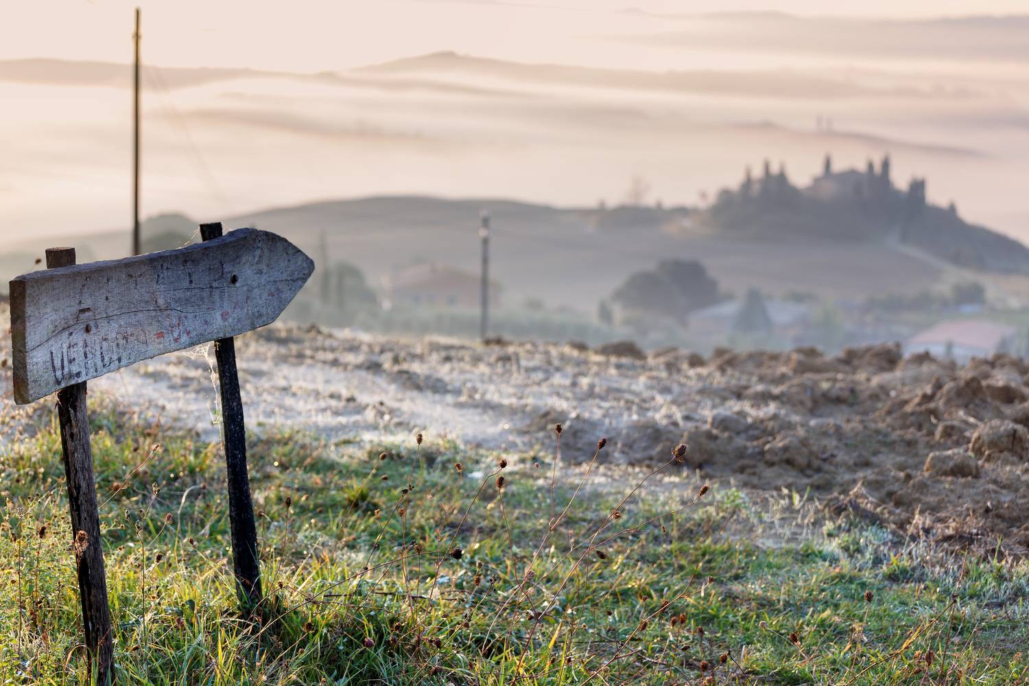 туман италия тоскана, холмы спокойствие, утро рассвет, кипарисы, Максим Калашников