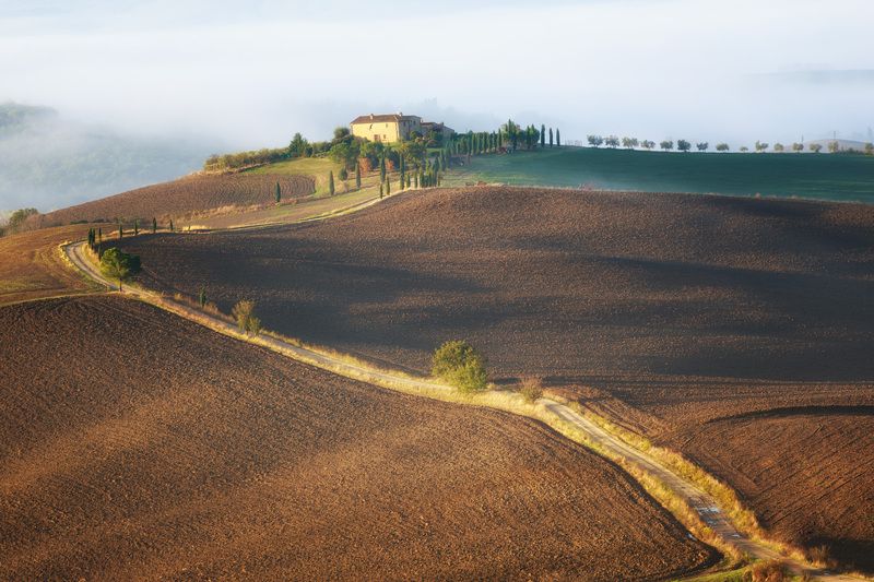 италия, тоскана, кипарисы, туман, дорога, гла Дорога гладиатора фото превью