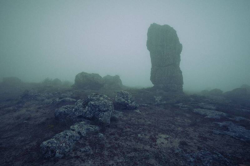 2025-04-24 фото превью