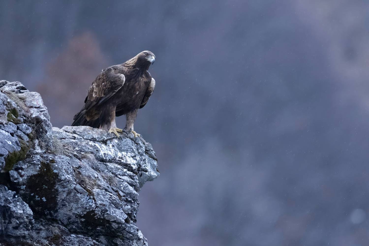 , Мартин Попов