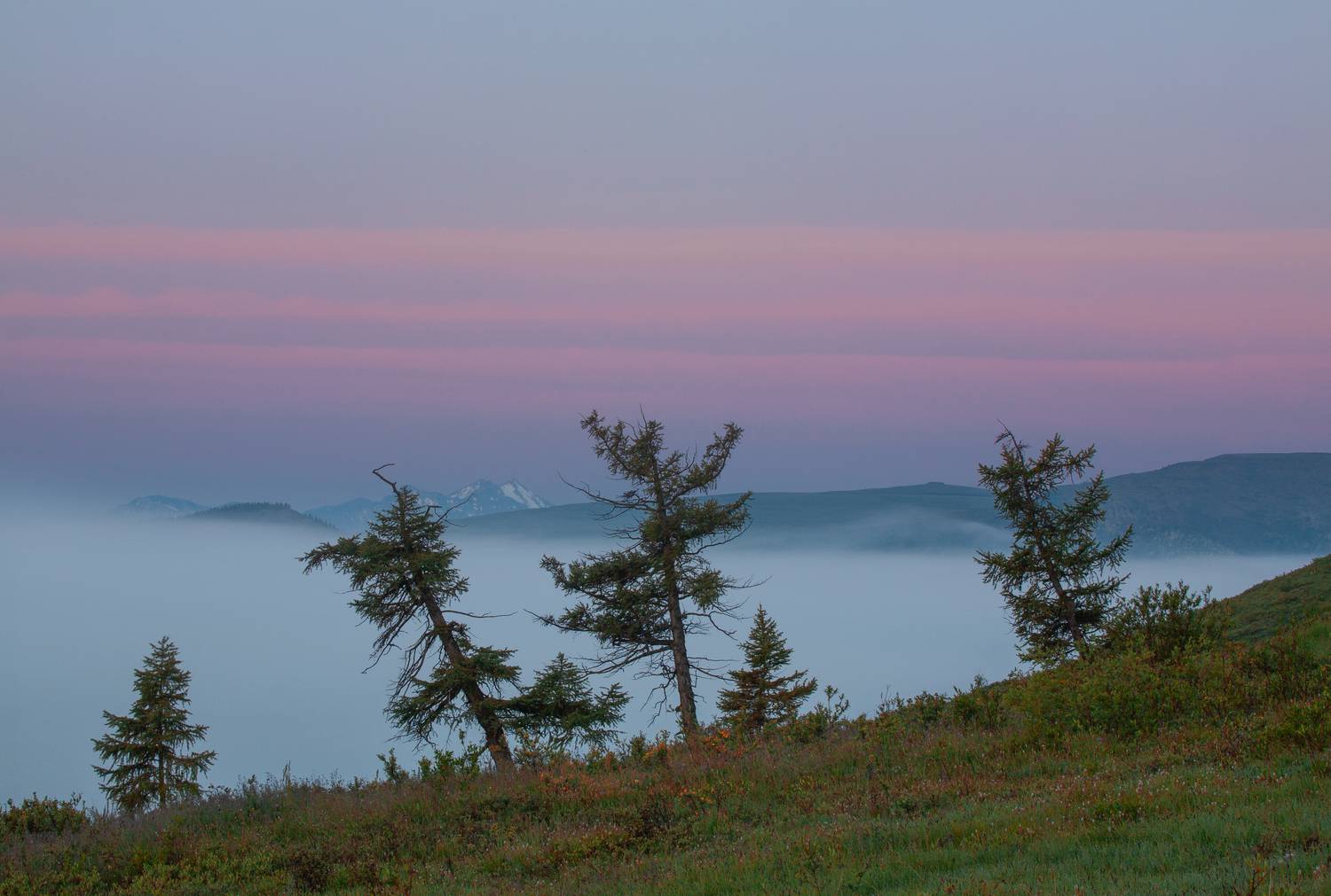 сибирь, восточные саяны, Сергей Захаров.