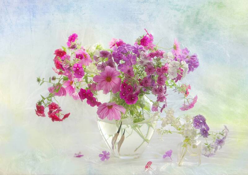 С флоксами на окне фото превью