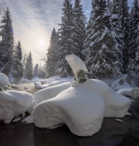 Речной монстр