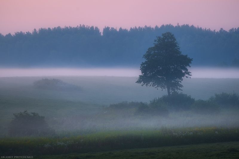 Вечерние туманы фото превью