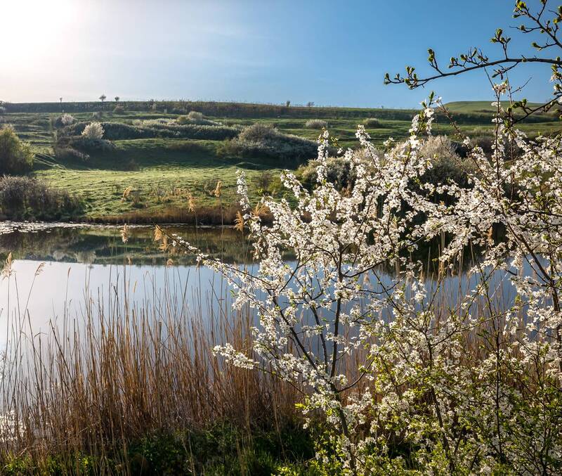 в ожидание весны, ставропольский край, ставрополье, весна, май, апрель, степь, цветы, цветение, пролески, луг, облака, храм  фото превью