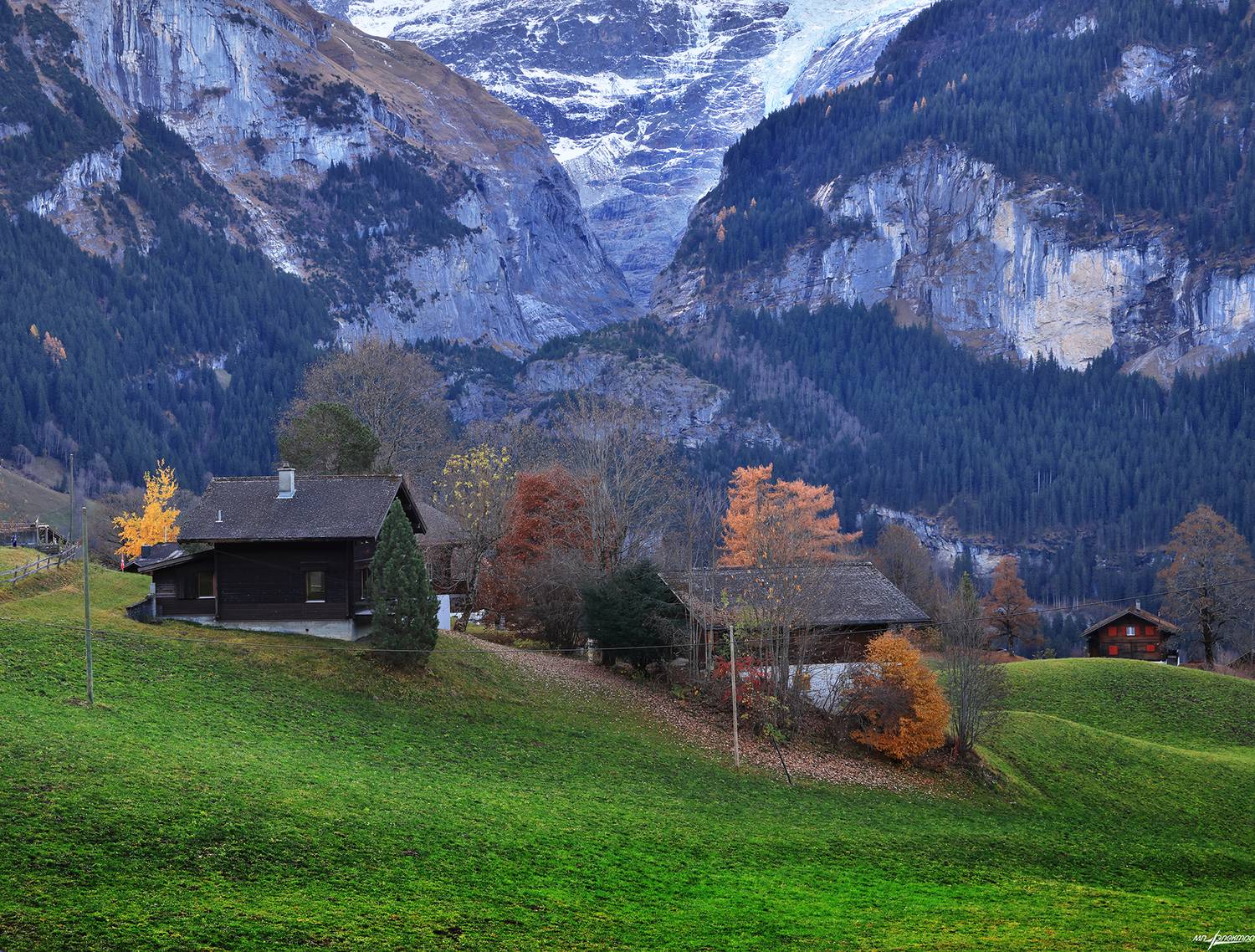 swiss, Матвеев Николай