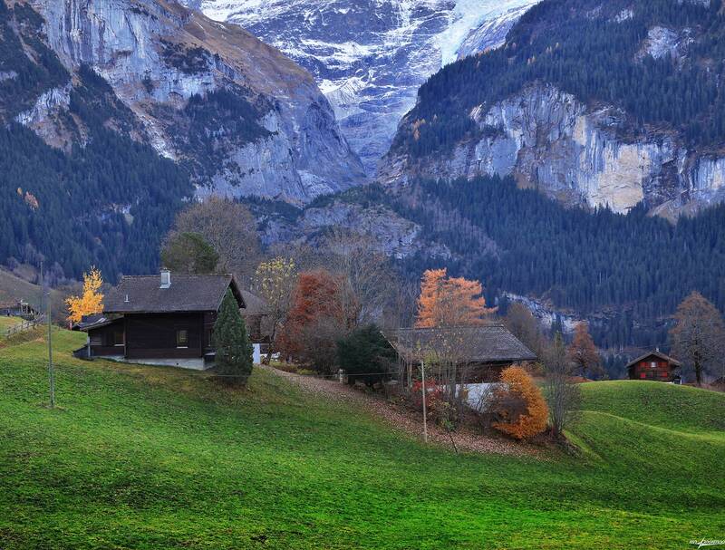 swiss Осень.. фото превью