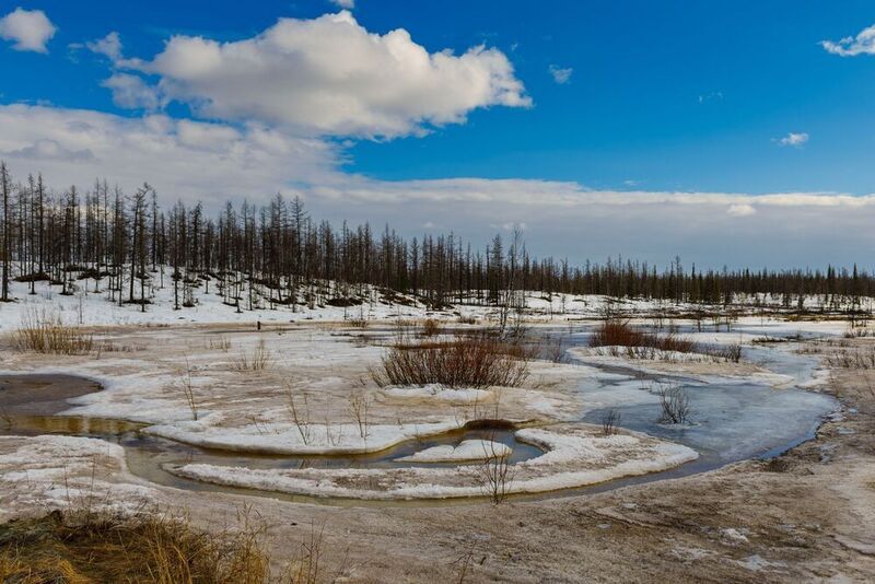 весна, тундра, север, вода, деревья, небо Весна фото превью