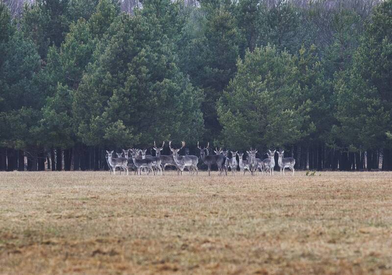 Семья фото превью