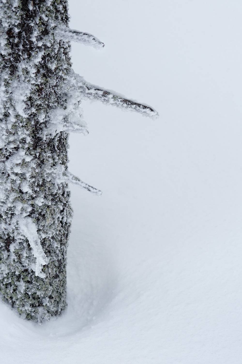 , Бодрягин Виталий