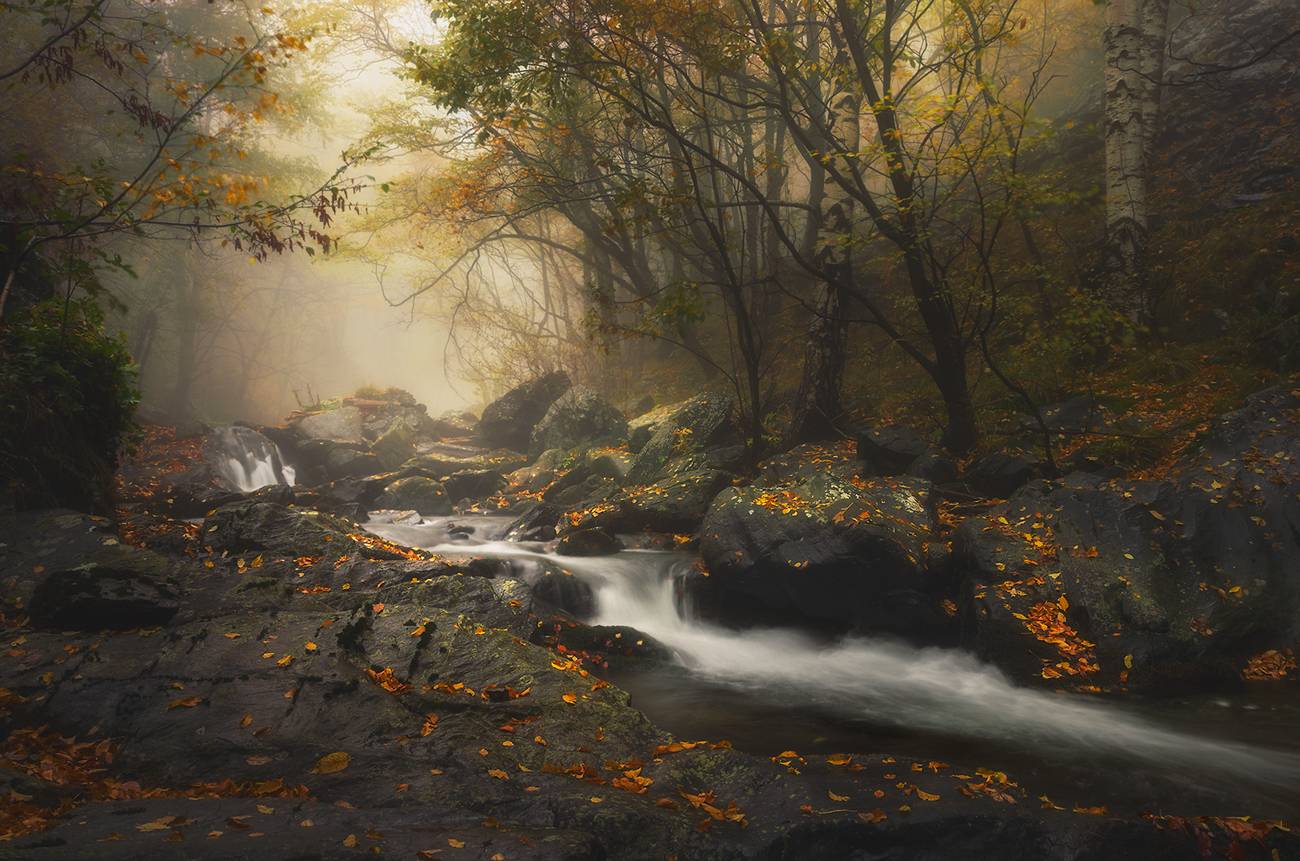 landscape, nature, scenery, forest, wood, autumn, mist, misty, fog, foggy, river, mountain, staraplanina, bulgaria, Александър Александров