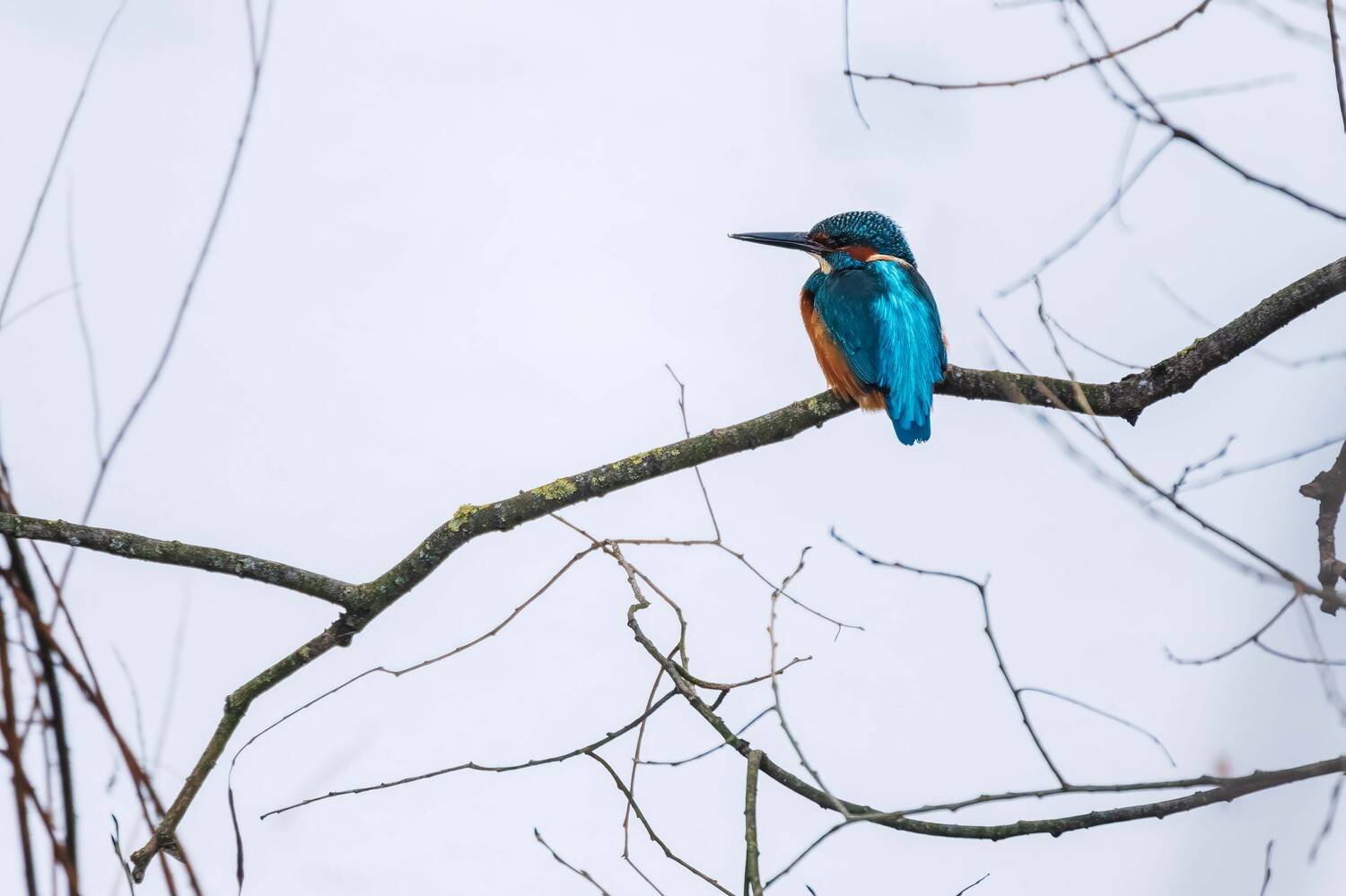 , Павел Ныриков