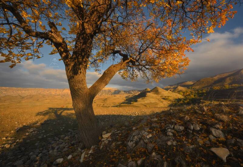дагестан Осенний Дагестан фото превью