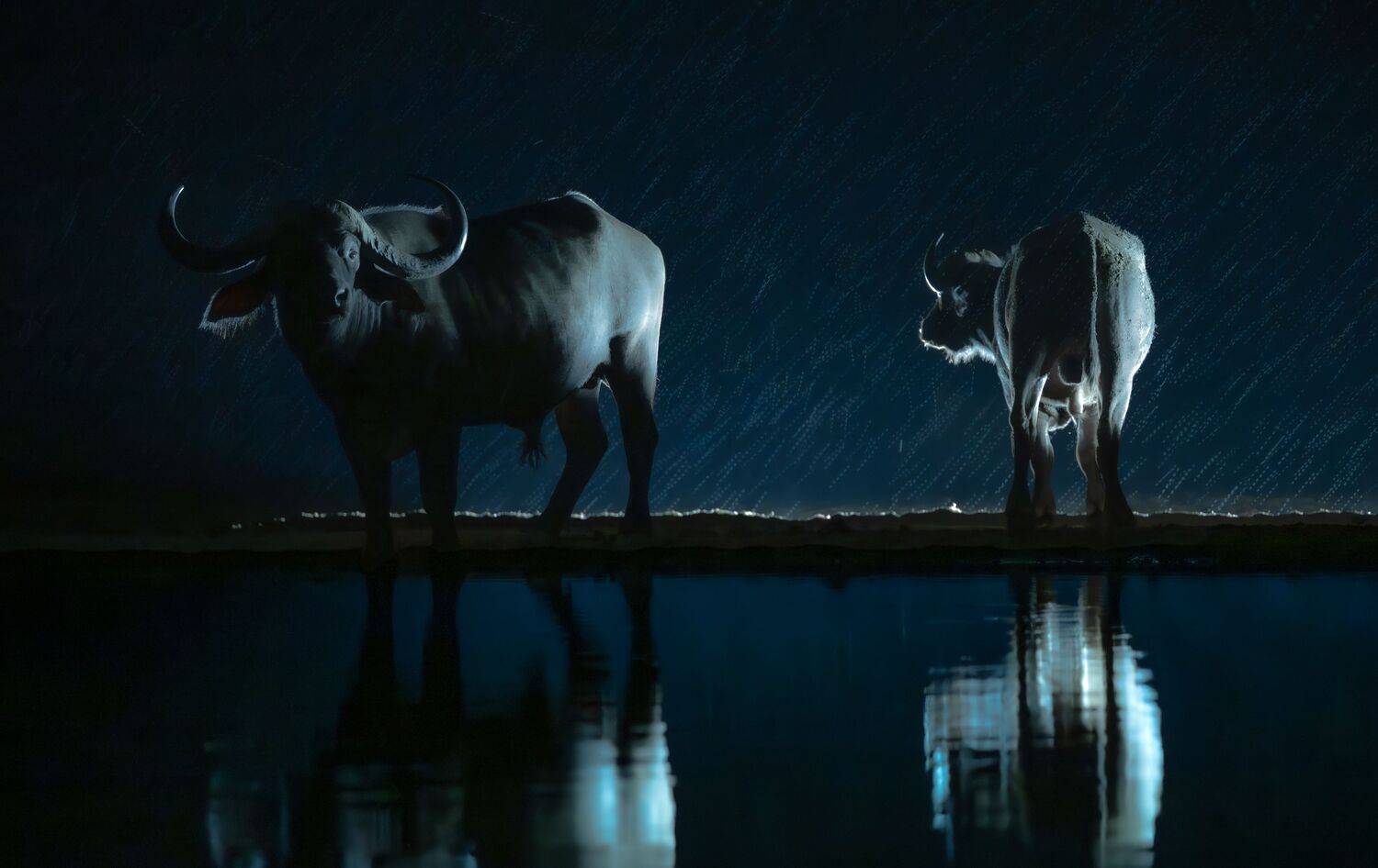 Кения, Сулоев Алексей