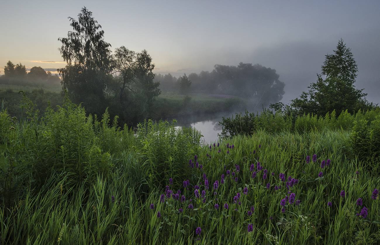 лето, утро, июль, большие, байдики, Михаил Агеев