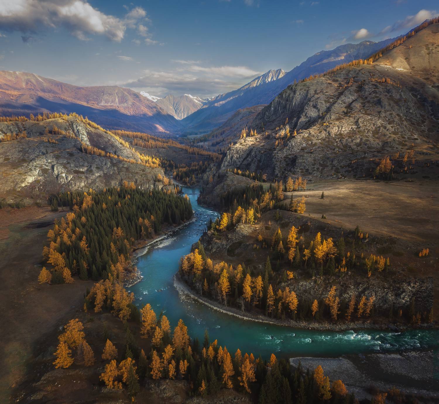 , Олег Герасимов