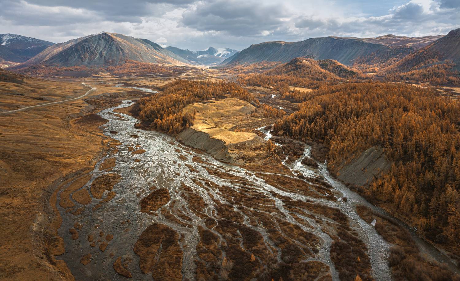 , Олег Герасимов