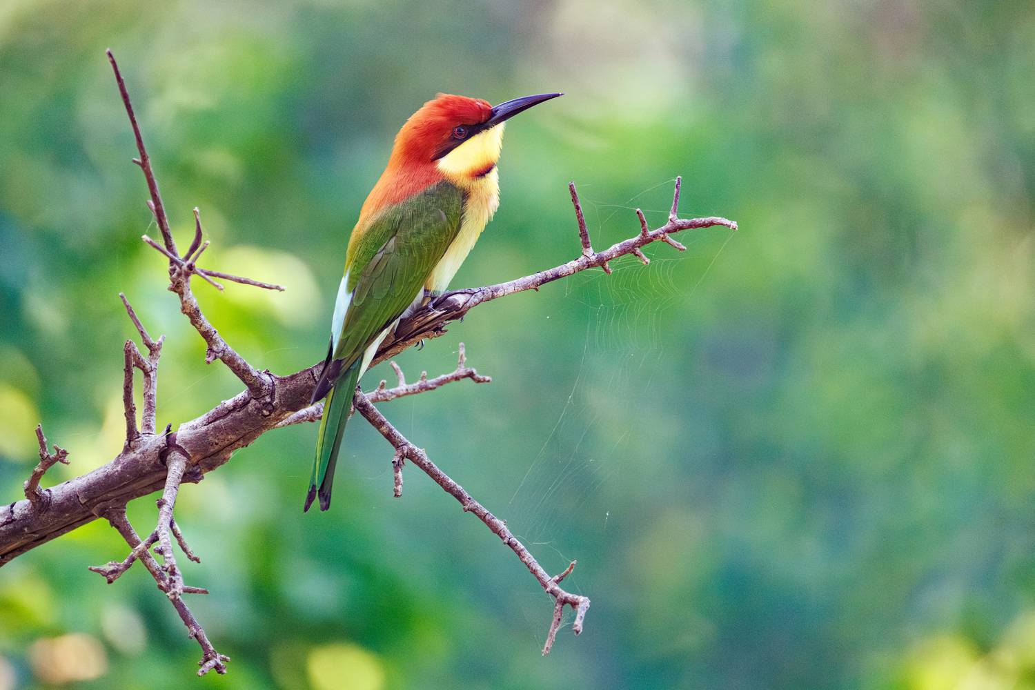 , ssmirs Сергей