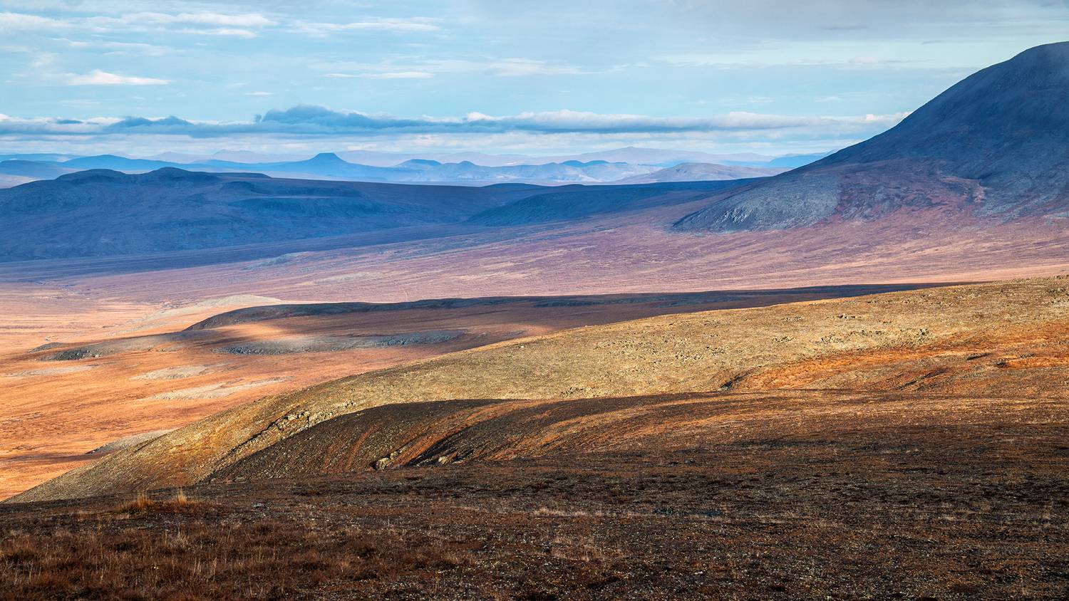 , Андреев Николай