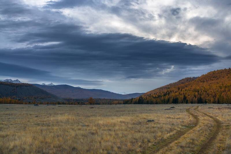 россия, горный алтай, степь, утро, рассвет, осень Рассвет в степи фото превью
