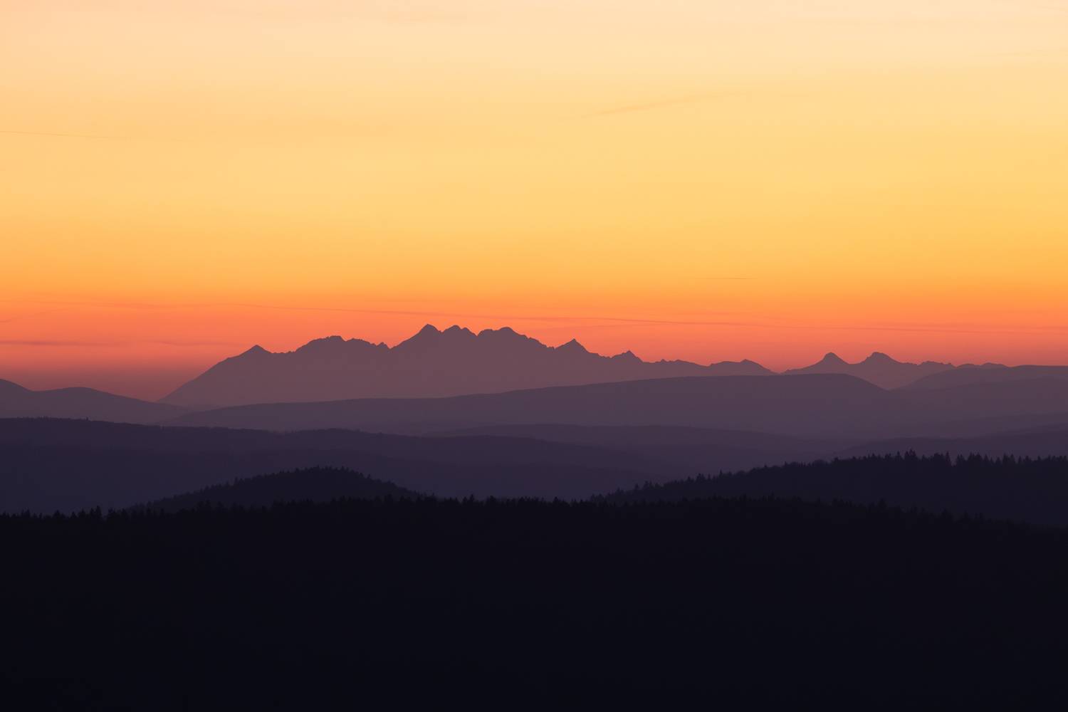 ,  Mirosław Pruchnicki