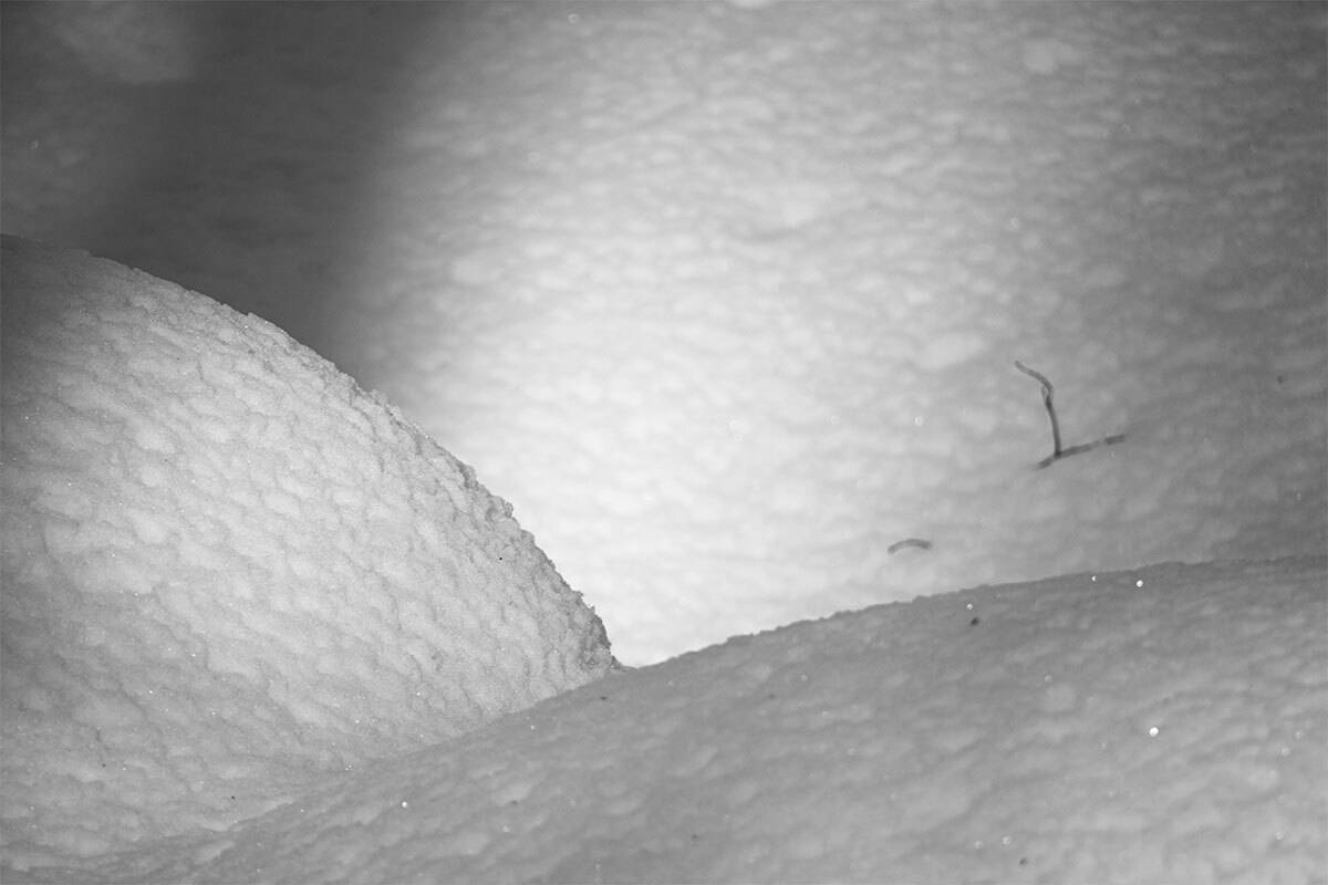 , Чудинин Дмитрий