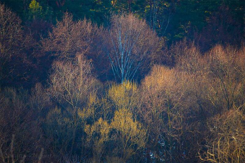 Март! фото превью